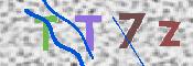 Kontrolní text