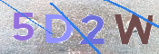 Kontrolní text